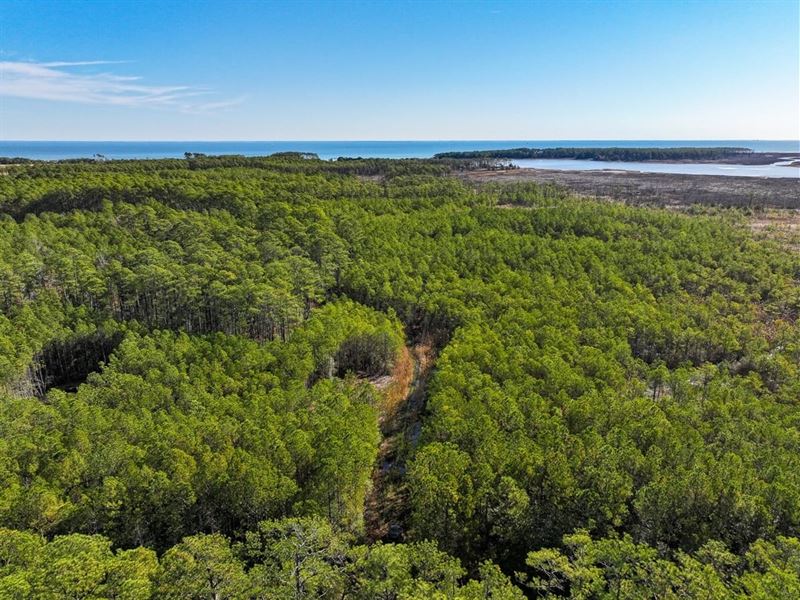 248.118 Acres of Recreational : Diggs : Mathews County : Virginia