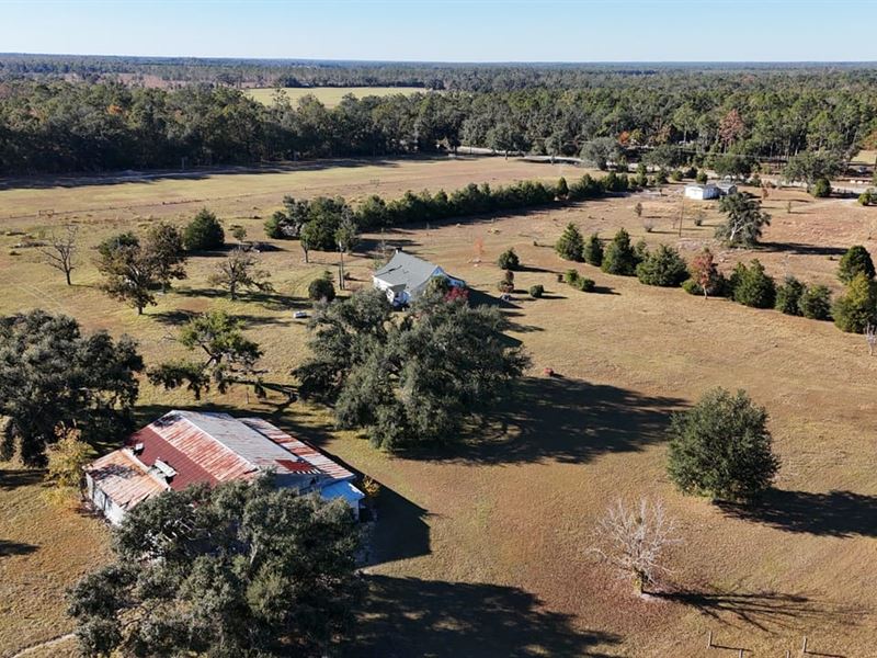 Bellville 40 : Pinetta : Madison County : Florida