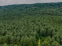 Back Valley Tract 4 : Lyerly : Chattooga County : Georgia