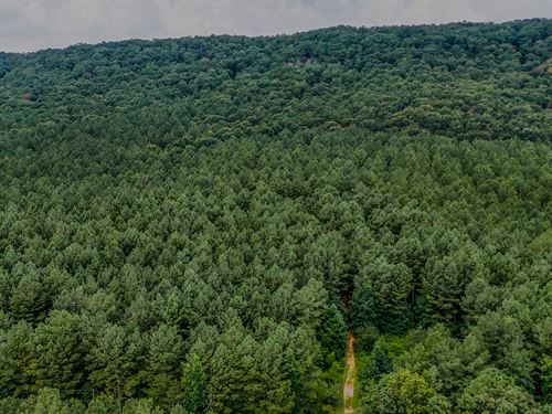 Back Valley Tract 4 : Lyerly : Chattooga County : Georgia