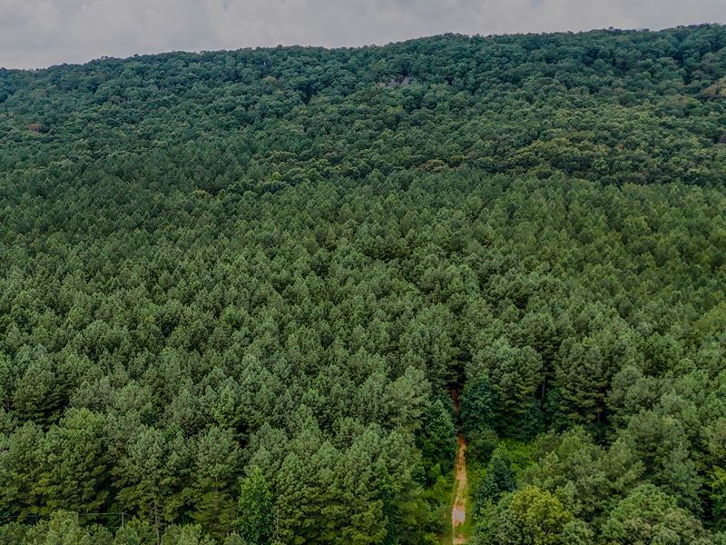 Back Valley Tract 5 : Lyerly : Chattooga County : Georgia