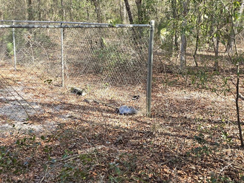 Brett Ave Property with Electricity : Interlachen : Putnam County : Florida