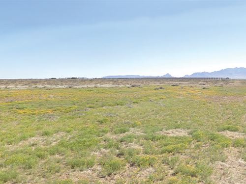Prime Half Acre in Deming, Luna, NM : Deming : Luna County : New Mexico