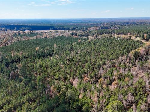 Sanderlin Road Tract : Monticello : Drew County : Arkansas