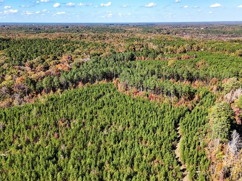 Saline Ridge Tract : Warren : Bradley County : Arkansas