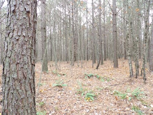 Level, Paved Road Frontage : Evansville : Bledsoe County : Tennessee