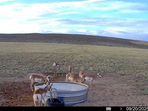 Gmu 3 Hunting Property : Maybell : Moffat County : Colorado