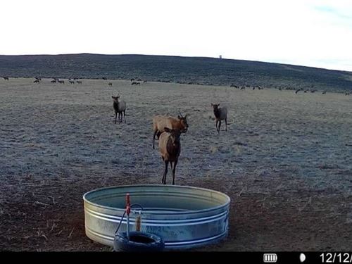 Gmu 3 Hunting Property : Maybell : Moffat County : Colorado