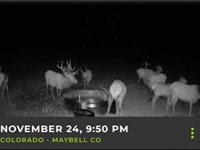 Gmu 3 Hunting Property : Maybell : Moffat County : Colorado