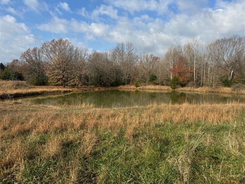 81 Acres Adjoining The Mark Twain : Falcon : Laclede County : Missouri