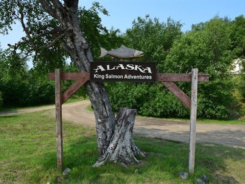 Alaska King Salmon Adventures : Dillingham : Alaska