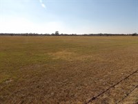 Small Acreage Tract : Boswell : Choctaw County : Oklahoma