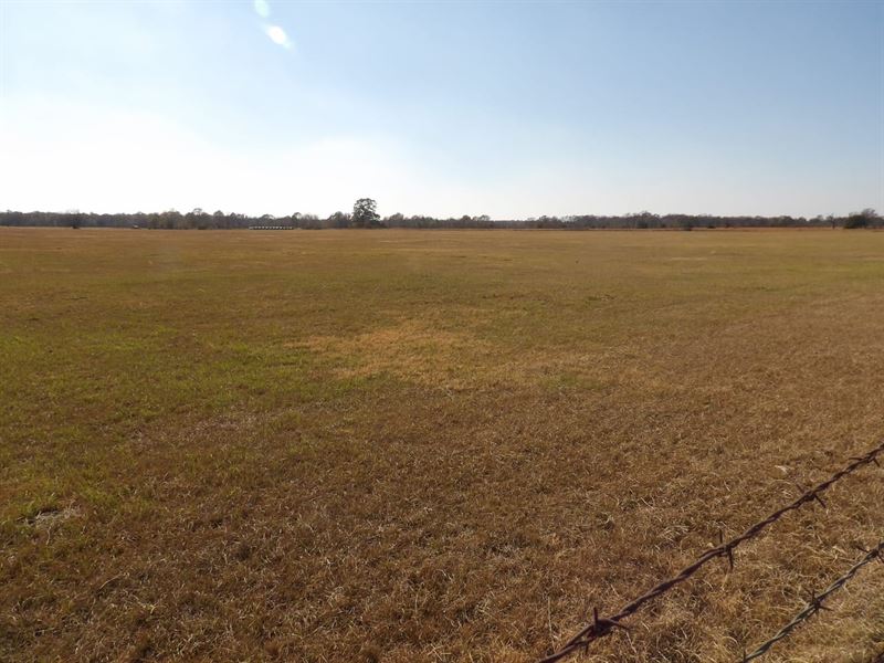 Small Acreage Tract : Boswell : Choctaw County : Oklahoma