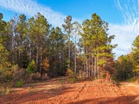 10+ Acres in Oak Bowery : Lafayette : Chambers County : Alabama