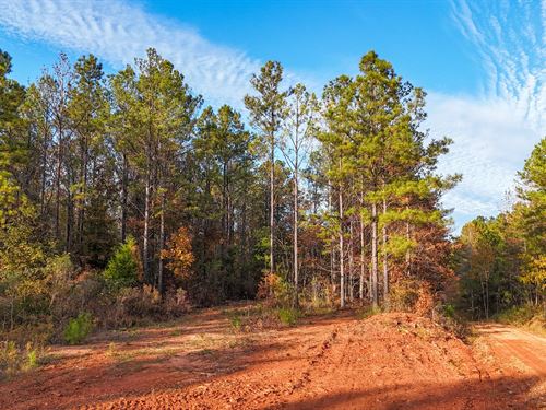 10+ Acres in Oak Bowery : Lafayette : Chambers County : Alabama
