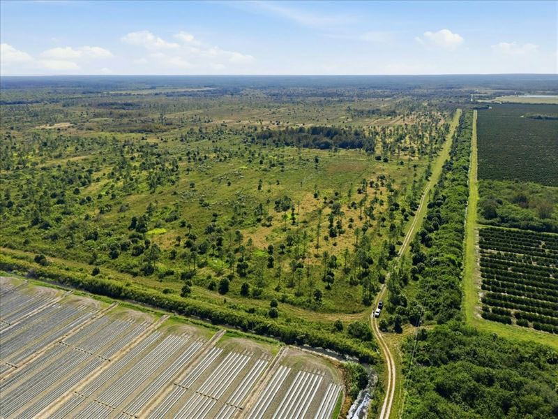 Big Cypress Mitigation Bank : Immokalee : Hendry County : Florida