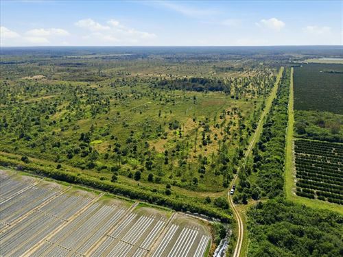 Big Cypress Mitigation Bank : Immokalee : Hendry County : Florida