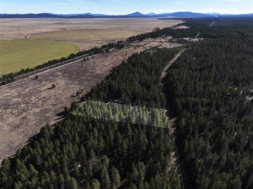 Backing Up To Scott Creek, Power : Chiloquin : Klamath County : Oregon