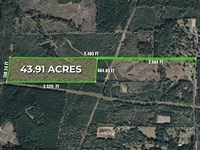 Nesbitt Cutoff, Marshall, TX 75670 : Marshall : Harrison County : Texas