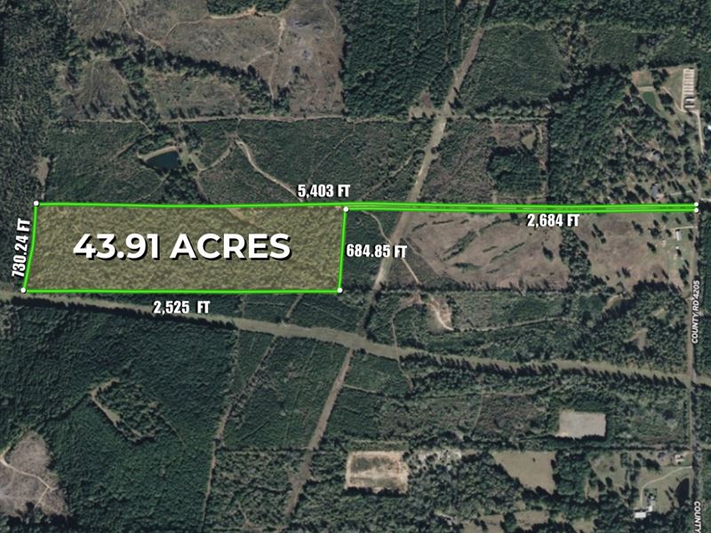 Nesbitt Cutoff, Marshall, TX 75670 : Marshall : Harrison County : Texas