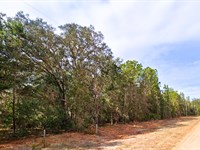 Good Road, Power Nearby, Affordable : Interlachen : Putnam County : Florida