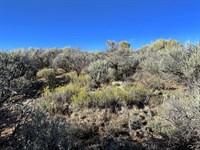 Build Home & Camp with Road Access : San Luis : Costilla County : Colorado