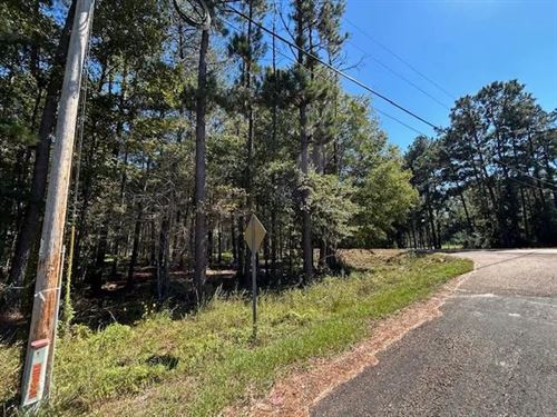 3.71 Acres, Summit, MS : Summit : Pike County : Mississippi
