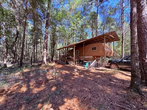 13.5 Acres/ Ginntown Road / Tylerto : Tylertown : Walthall County : Mississippi