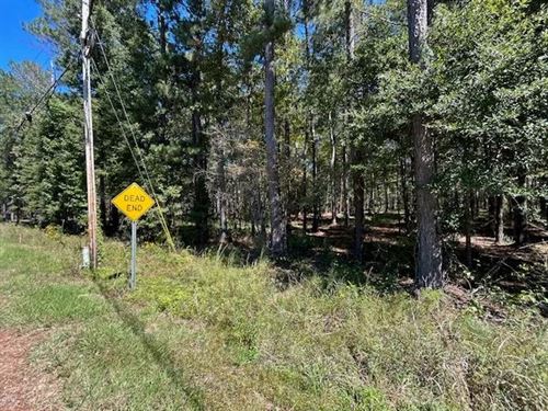 2.21 Acres, Summit, MS : Summit : Pike County : Mississippi