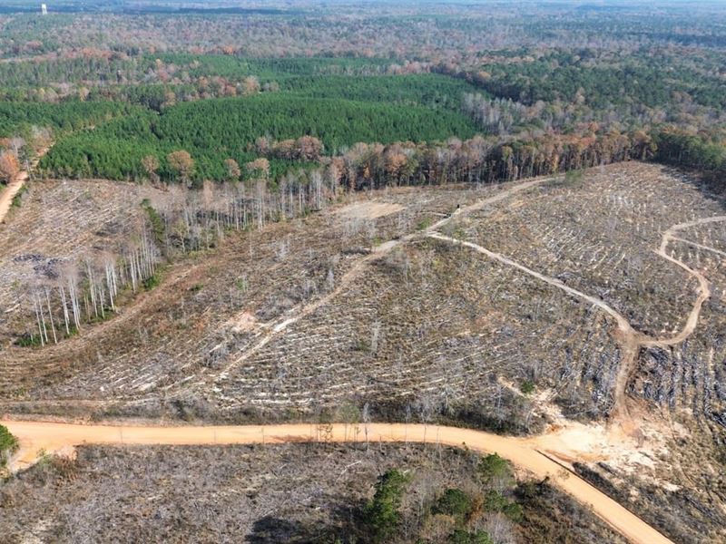 40 Acres Hurtsboro, AL : Hurtsboro : Russell County : Alabama