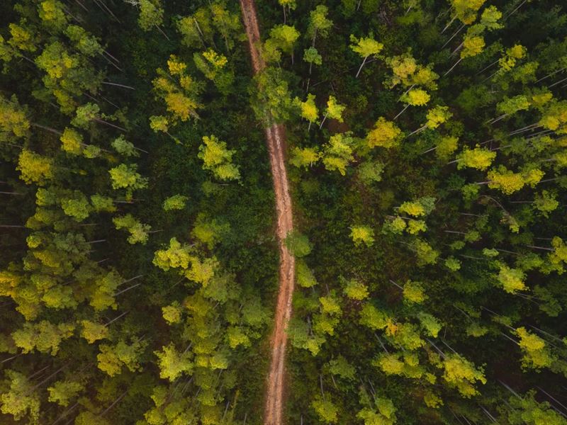 160 Acres in Jefferson Davis Count : Columbia : Jefferson Davis County : Mississippi