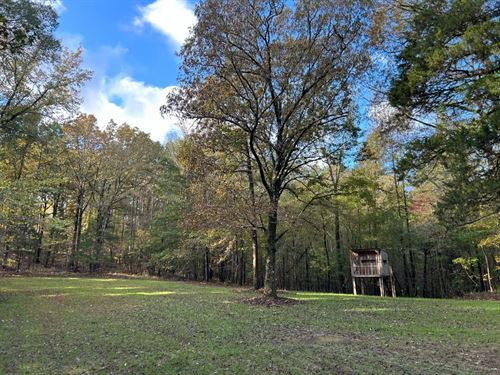 184.1 Acres in Lafayette County, MS : Thaxton : Lafayette County : Mississippi