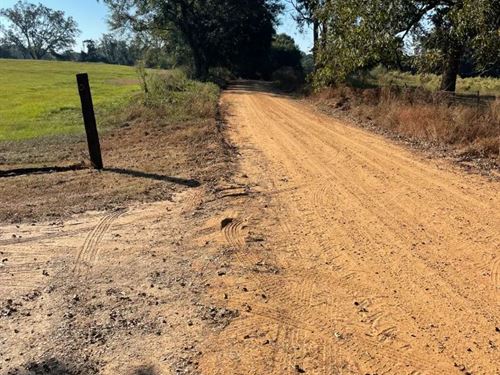 A Home on 2 Acres in Crenshaw Count : Luverne : Crenshaw County : Alabama