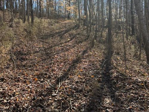 24.33 Acres With a Home in Bledsoe : Pikeville : Bledsoe County : Tennessee