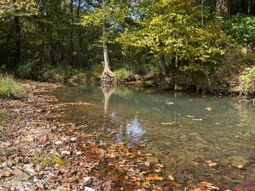 24.33 Acres With a Home in Bledsoe : Pikeville : Bledsoe County : Tennessee
