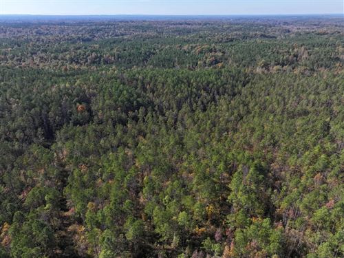 160 Acres in Clay County, MS : Woodland : Clay County : Mississippi