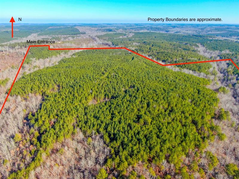 122 Acres in Marion County, AL $325 : Hamilton : Marion County : Alabama