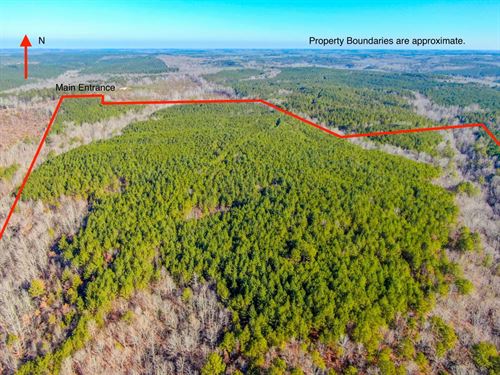 122 Acres in Marion County, AL $325 : Hamilton : Marion County : Alabama