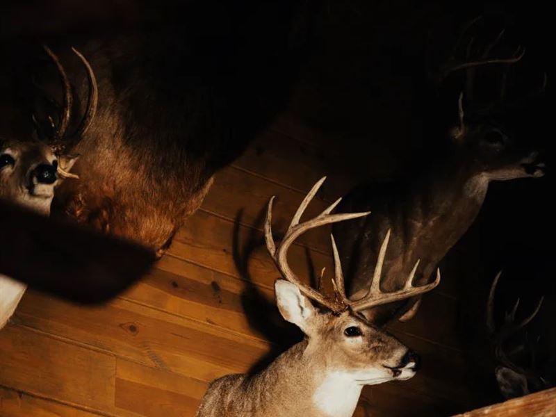 One Equity Share with a Cabin at MI : Clarksdale : Coahoma County : Mississippi