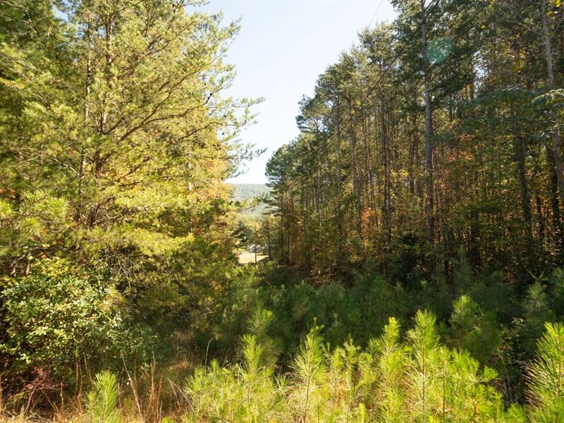 24 Acres in Polk County, TN : Copperhill : Polk County : Tennessee
