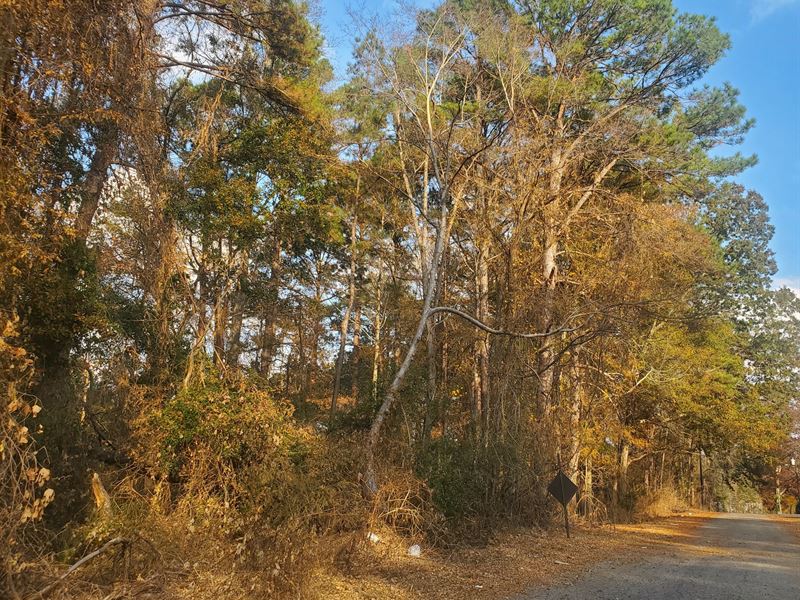 Longshore St Roanoke, AL : Roanoke : Randolph County : Alabama