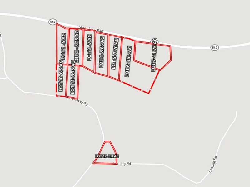 5 Acres Lot 1 in Simpson County : Braxton : Simpson County : Mississippi