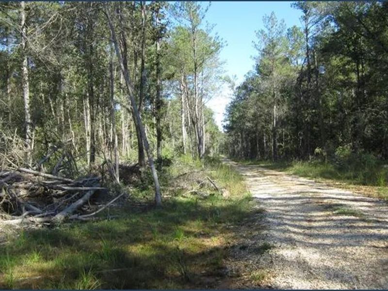 3.02 Acre Lot in Jefferson Davis Co : Oak Vale : Jefferson Davis County : Mississippi