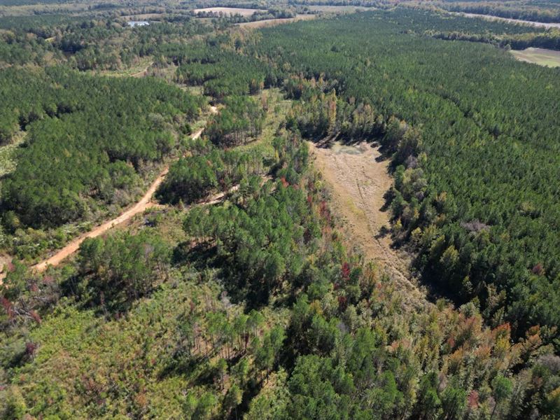 200 Acres in Montgomery County : Kilmichael : Montgomery County : Mississippi