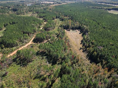 200 Acres in Montgomery County : Kilmichael : Montgomery County : Mississippi