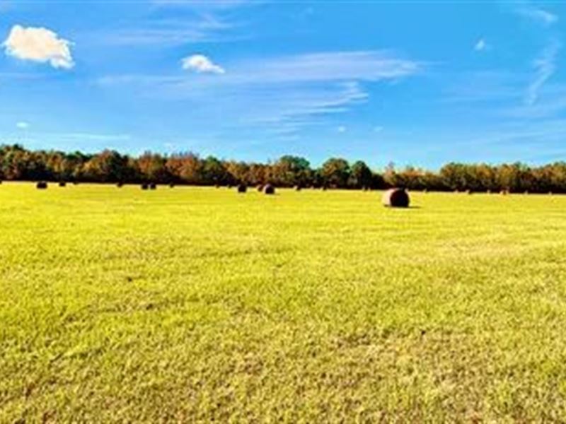 84 Acres in Holmes County in Durant : Durant : Holmes County : Mississippi