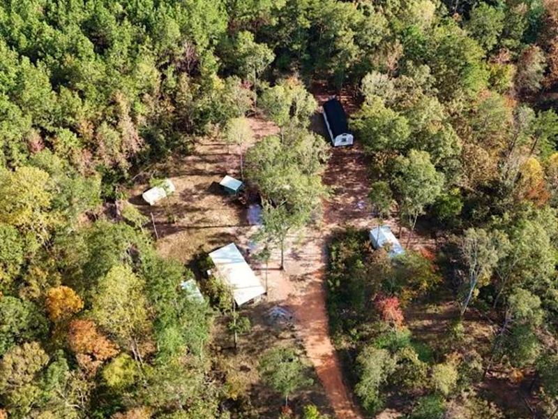 14.5 Acres in Clarke County in Shub : Shubuta : Clarke County : Mississippi