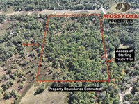 15 Acres Sterling Mi, Arenac Cou : Sterling : Arenac County : Michigan