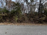 Wooded Lot in The Ozarks : Horseshoe Bend : Fulton County : Arkansas