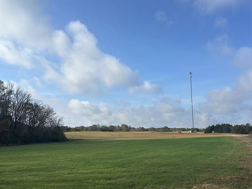 Biddy Creek 271, Choctaw County, AL : Melvin : Choctaw County : Alabama